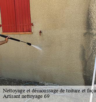 Nettoyage et démoussage de toiture et façade 69 Rhône  Artisant nettoyage 69