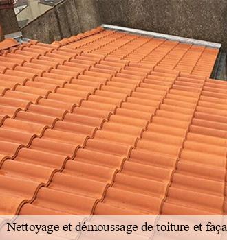 Nettoyage et démoussage de toiture et façade 69 Rhône  Artisant nettoyage 69