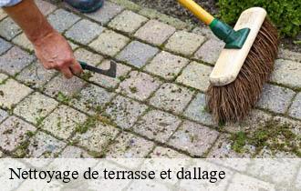 Nettoyage de terrasse et dallage 69 Rhône Ferrari nettoyage