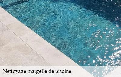 Nettoyage margelle de piscine 69 Rhône  Johnny Nettoyage 