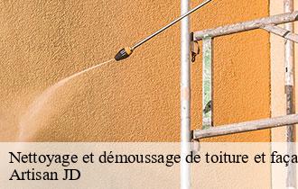 Nettoyage et démoussage de toiture et façade 69 Rhône Artisan JD