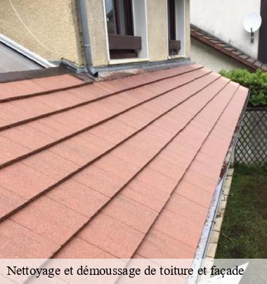 Nettoyage et démoussage de toiture et façade 69 Rhône  Johnny Nettoyage 