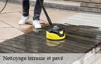 Nettoyage terrasse et pavé 69 Rhône Ferrari nettoyage
