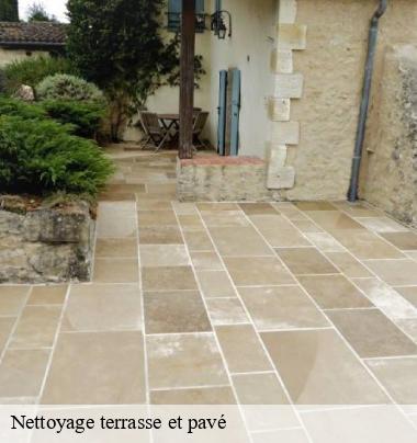 Nettoyage terrasse et pavé 69 Rhône  Johnny Nettoyage 