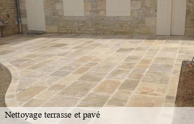 Nettoyage terrasse et pavé  aigueperse-69790 Artisant nettoyage 69