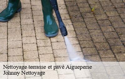 Nettoyage terrasse et pavé  aigueperse-69790 Johnny Nettoyage 