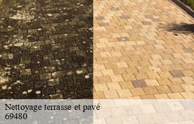 Nettoyage terrasse et pavé  amberieux-69480 Artisant nettoyage 69