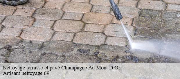 Nettoyage terrasse et pavé  champagne-au-mont-d-or-69410 Artisant nettoyage 69