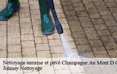 Nettoyage terrasse et pavé  champagne-au-mont-d-or-69410 Johnny Nettoyage 