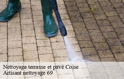 Nettoyage terrasse et pavé  coise-69590 Artisant nettoyage 69