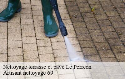 Nettoyage terrasse et pavé  le-perreon-69460 Artisant nettoyage 69