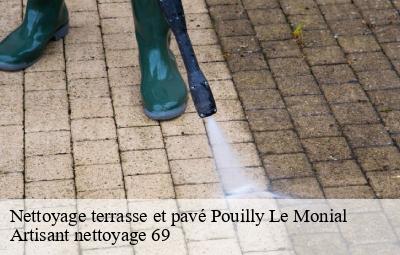 Nettoyage terrasse et pavé  pouilly-le-monial-69400 Artisant nettoyage 69