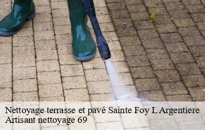 Nettoyage terrasse et pavé  sainte-foy-l-argentiere-69610 Artisant nettoyage 69