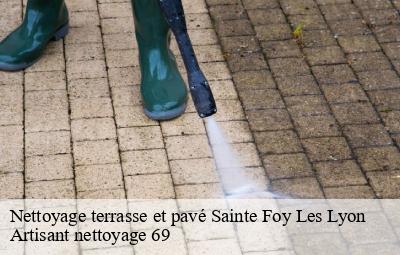 Nettoyage terrasse et pavé  sainte-foy-les-lyon-69110 Artisant nettoyage 69