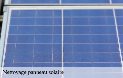 Nettoyage panneau solaire  amplepuis-69550 Artisant nettoyage 69