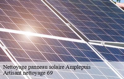 Nettoyage panneau solaire  amplepuis-69550 Artisant nettoyage 69