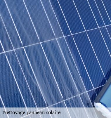 Nettoyage panneau solaire  amplepuis-69550 Artisant nettoyage 69