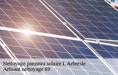 Nettoyage panneau solaire  l-arbresle-69210 Artisant nettoyage 69