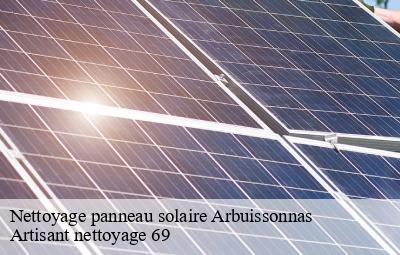 Nettoyage panneau solaire  arbuissonnas-69460 Artisant nettoyage 69