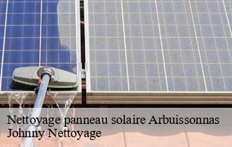 Nettoyage panneau solaire  arbuissonnas-69460 Johnny Nettoyage 