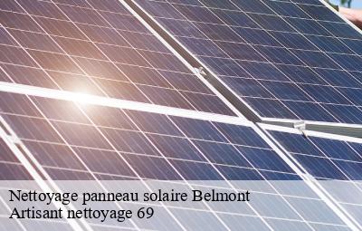 Nettoyage panneau solaire  belmont-69380 Artisant nettoyage 69