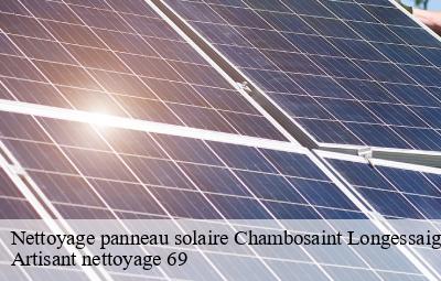 Nettoyage panneau solaire  chambosaint-longessaigne-69770 Artisant nettoyage 69