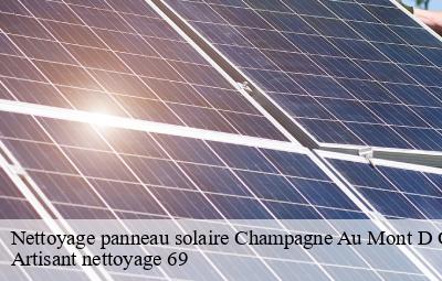 Nettoyage panneau solaire  champagne-au-mont-d-or-69410 Artisant nettoyage 69