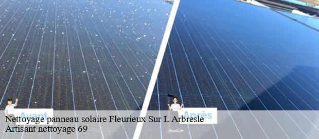 Nettoyage panneau solaire  fleurieux-sur-l-arbresle-69210 Artisant nettoyage 69