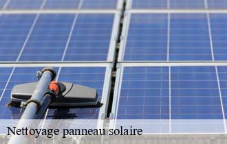 Nettoyage panneau solaire  haute-rivoire-69610 Johnny Nettoyage 