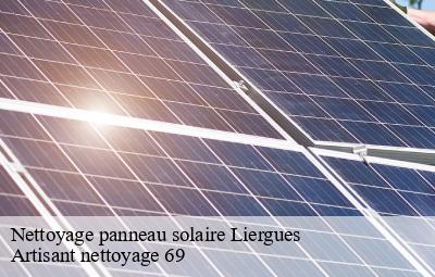 Nettoyage panneau solaire  liergues-69400 Artisant nettoyage 69