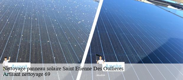 Nettoyage panneau solaire  saint-etienne-des-oullieres-69460 Artisant nettoyage 69