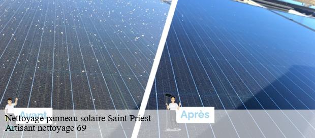 Nettoyage panneau solaire  saint-priest-69800 Artisant nettoyage 69