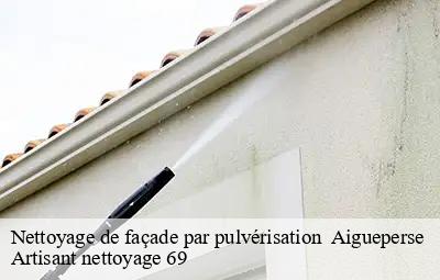 Nettoyage de façade par pulvérisation   aigueperse-69790 Artisant nettoyage 69