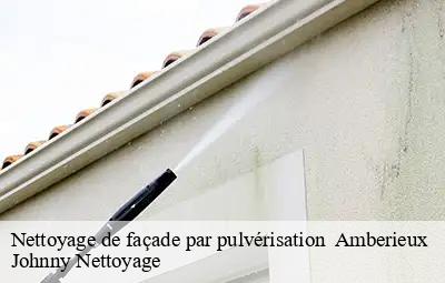 Nettoyage de façade par pulvérisation   amberieux-69480 Johnny Nettoyage 