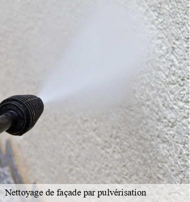 Nettoyage de façade par pulvérisation   amplepuis-69550 Artisant nettoyage 69