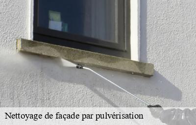 Nettoyage de façade par pulvérisation   cublize-69550 Artisant nettoyage 69