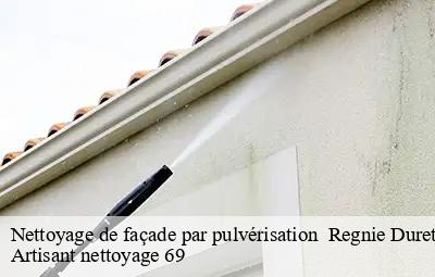 Nettoyage de façade par pulvérisation   regnie-durette-69430 Artisant nettoyage 69