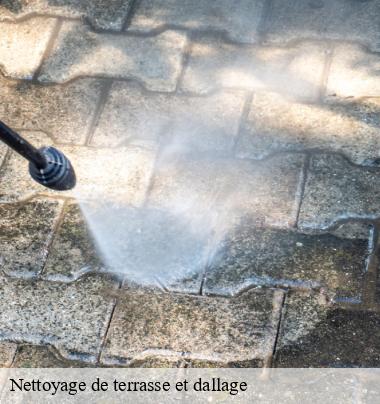 Nettoyage de terrasse et dallage   alix-69380 Artisant nettoyage 69