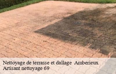 Nettoyage de terrasse et dallage   amberieux-69480 Artisant nettoyage 69