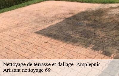 Nettoyage de terrasse et dallage   amplepuis-69550 Artisant nettoyage 69