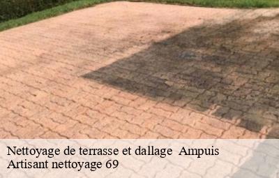 Nettoyage de terrasse et dallage   ampuis-69420 Artisant nettoyage 69