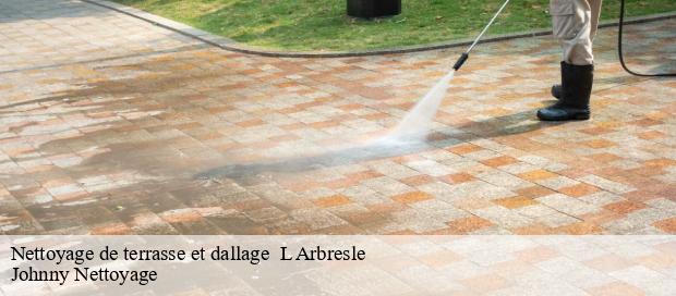 Nettoyage de terrasse et dallage   l-arbresle-69210 Johnny Nettoyage 