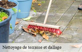 Nettoyage de terrasse et dallage   belleville-69220 Johnny Nettoyage 