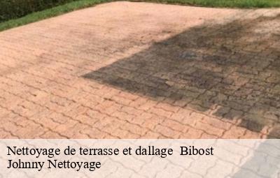 Nettoyage de terrasse et dallage   bibost-69690 Johnny Nettoyage 