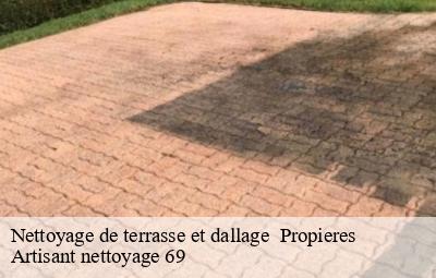 Nettoyage de terrasse et dallage   propieres-69790 Artisant nettoyage 69