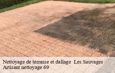 Nettoyage de terrasse et dallage   les-sauvages-69170 Artisant nettoyage 69