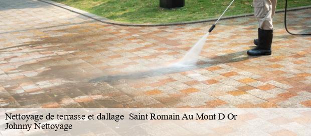 Nettoyage de terrasse et dallage   saint-romain-au-mont-d-or-69270 Johnny Nettoyage 