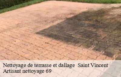 Nettoyage de terrasse et dallage   saint-vincent-69440 Artisant nettoyage 69