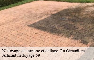 Nettoyage de terrasse et dallage   la-giraudiere-69690 Artisant nettoyage 69