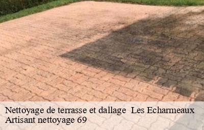 Nettoyage de terrasse et dallage   les-echarmeaux-69870 Artisant nettoyage 69